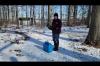 Embedded thumbnail for Release of Great Horned Owl 01102023