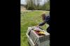 Embedded thumbnail for Bald Eagle Makes Miraculous Recovery &amp;amp; Returns to the Skies