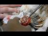 Embedded thumbnail for from the Clinic
